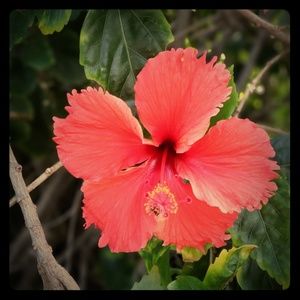 Meet your Posher, Takako